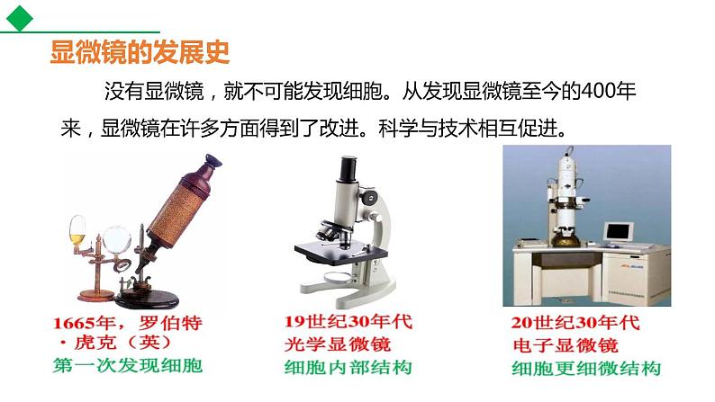 2.1.1练习使用显微镜课件（34张PPT）04