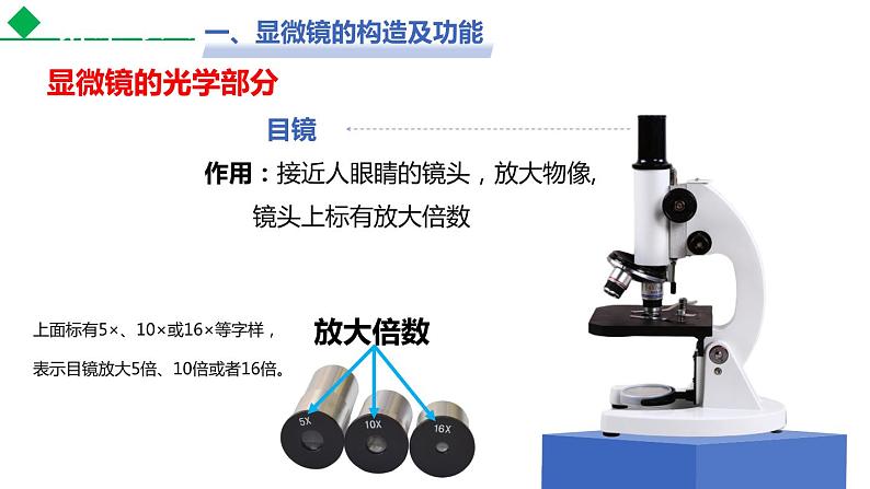 2.1.1练习使用显微镜课件（34张PPT）08