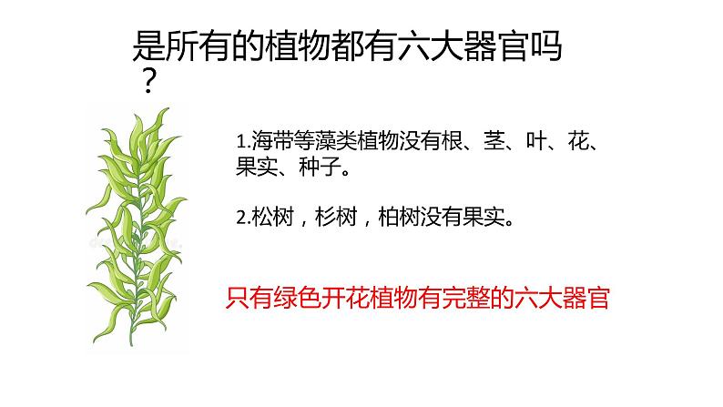 2.2.3植物体的结构层次课件（24张PPT）第7页