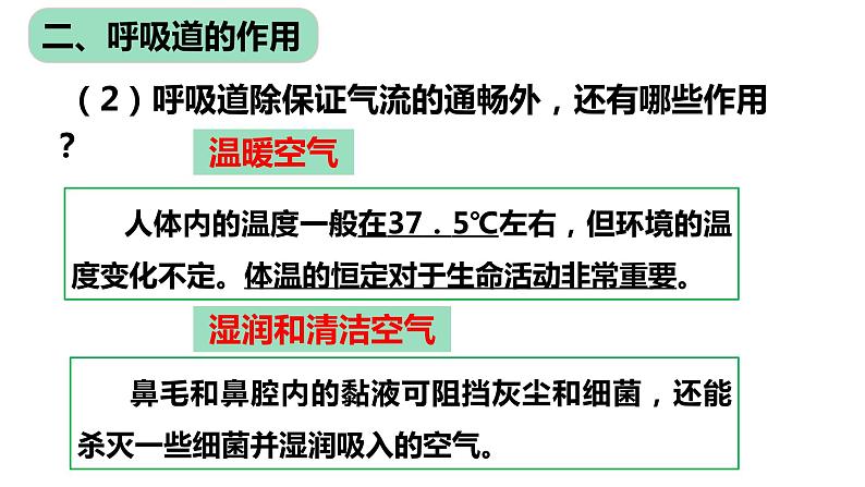 4.3.1 呼吸道对空气的处理课件（17张PPT）05