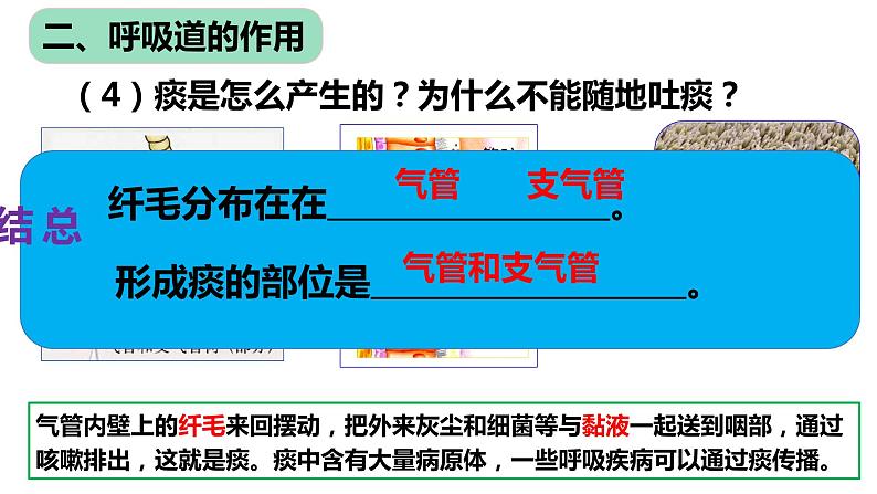 4.3.1 呼吸道对空气的处理课件（17张PPT）08