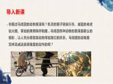 5.2.1 动物的运动课件（30张PPT）