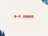 5.2.1 动物的运动课件（30张PPT）