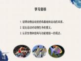5.2.1 动物的运动课件（30张PPT）