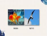 5.2.1 动物的运动课件（30张PPT）