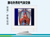 第三章第二节发生在肺内的气体交换课件PPT