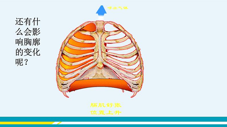 第三章第二节发生在肺内的气体交换课件PPT05