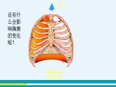 第三章第二节发生在肺内的气体交换课件PPT