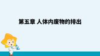 初中生物人教版 (新课标)七年级下册第四单元 生物圈中的人第五章 人体内废物的排出多媒体教学课件ppt