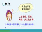 第五章人体内废物的排出课件PPT