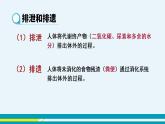 第五章人体内废物的排出课件PPT