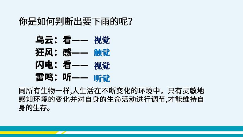 第六章第一节人体对外界环境的感知课件PPT第3页