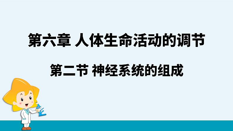 第六章第二节神经系统的组成课件PPT01