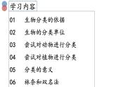 6.1.2 从种到界课件（29张PPT）
