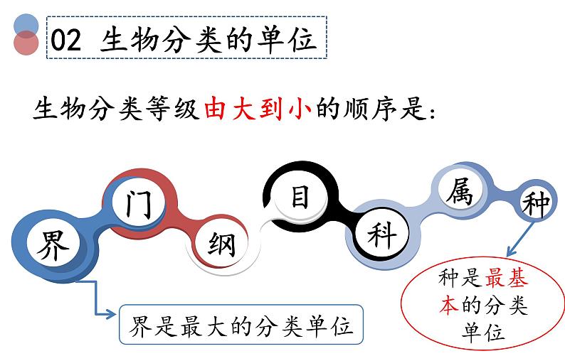 6.1.2 从种到界课件（29张PPT）06