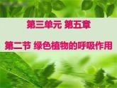 5.3.2绿色植物的呼吸作用课件（16张PPT）