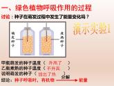 5.3.2绿色植物的呼吸作用课件（16张PPT）