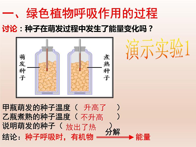 5.3.2绿色植物的呼吸作用课件（16张PPT）第3页