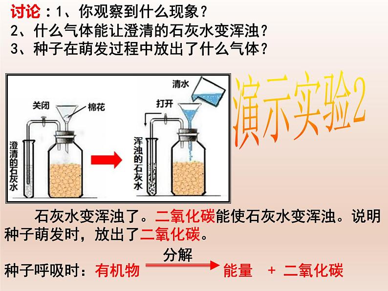 5.3.2绿色植物的呼吸作用课件（16张PPT）第4页