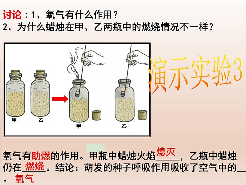 5.3.2绿色植物的呼吸作用课件（16张PPT）第6页