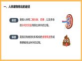 人体内废物的排出课件（19张PPT）