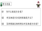6.1.1尝试对生物进行分类课件（45张PPT）