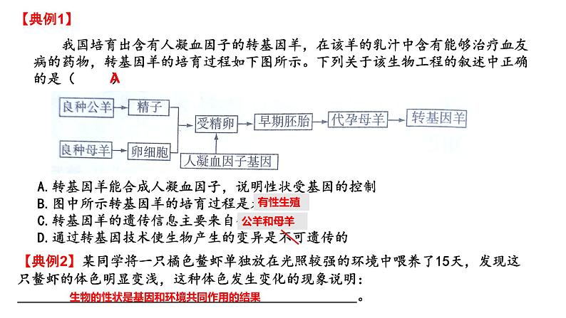 2022年人教版生物中考二轮复习课件-生物的遗传变异和进化第6页