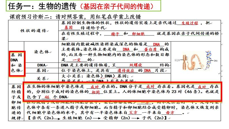 2022年人教版生物中考二轮复习课件-生物的遗传变异和进化第7页