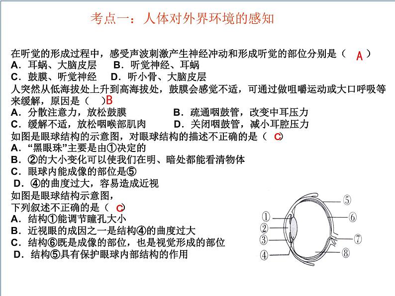 2022年人教版生物中考二轮复习课件-专题六人体生命活动的调节第5页