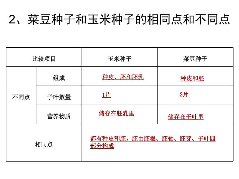 2022年生物中考二轮专题复习课件：被子植物的一生第4页