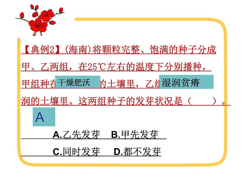 2022年生物中考二轮专题复习课件：被子植物的一生第8页