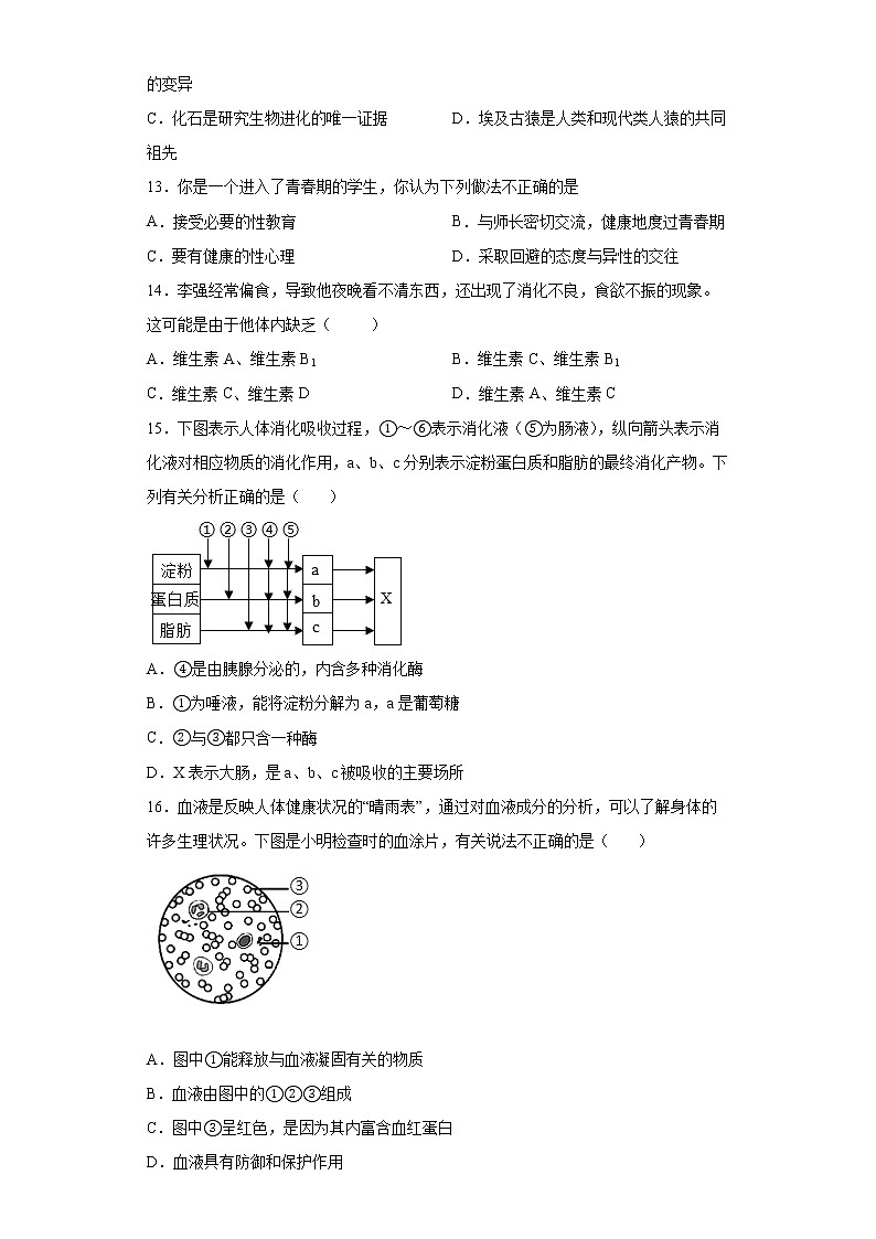2022年云南省梁河县第一中学中考一模生物试题(word版含答案)03