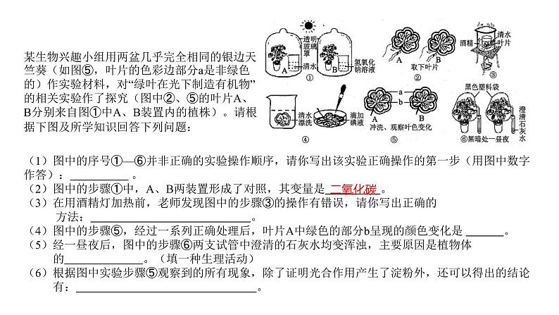 四川省泸州市2022年中考实验总复习课件第7页