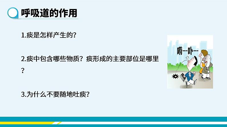 第三章第一节呼吸道对的空气的处理课件PPT第6页