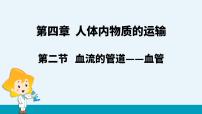生物七年级下册第二节 血流的管道──血管教课ppt课件