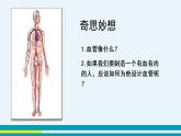 第四章第二节血流的管道---血管课件PPT