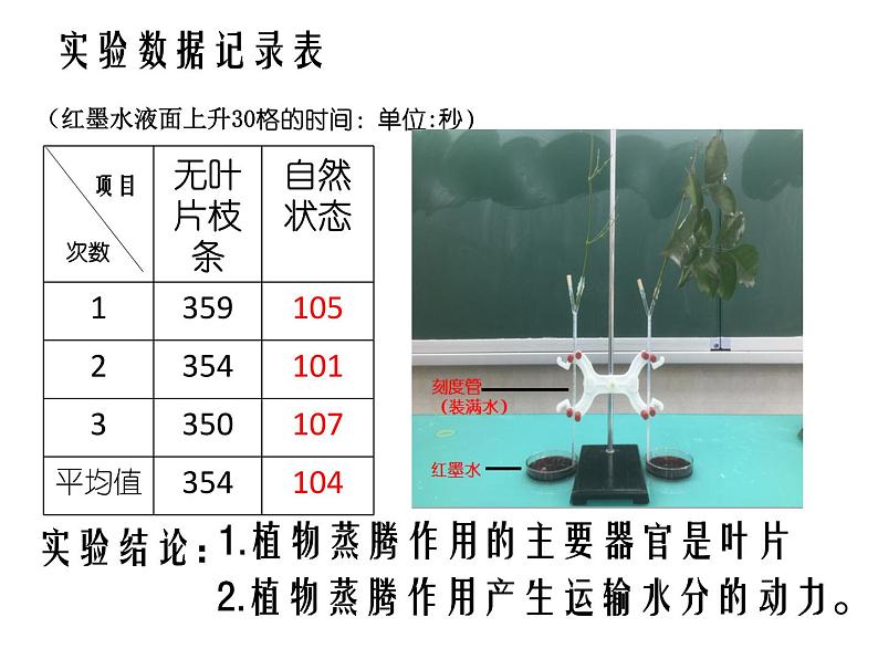 3.1《植物的蒸腾作用》（27张PPT）第6页