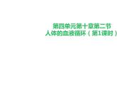 4.10.2人体的血液循环课件PPT