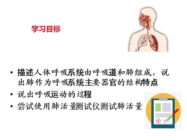 4.10.3人体和外界环境的气体交换课件PPT04