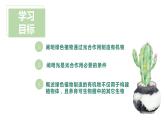 人教版生物七年级上册第八单元 绿色植物是生物圈中有机物的制造者  教学PPT课件