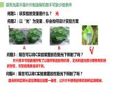 人教版生物七年级上册第八单元 绿色植物是生物圈中有机物的制造者  教学PPT课件