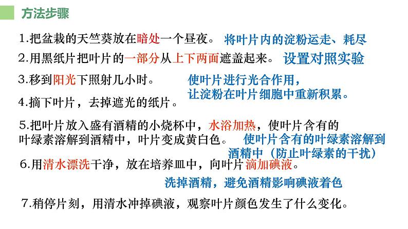 人教版生物七年级上册第八单元 绿色植物是生物圈中有机物的制造者  教学PPT课件第7页