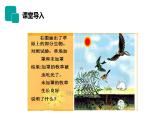 人教版生物七年级上册第二单元  了解生物圈 2.2 生物与环境组成生态系统  教学PPT课件