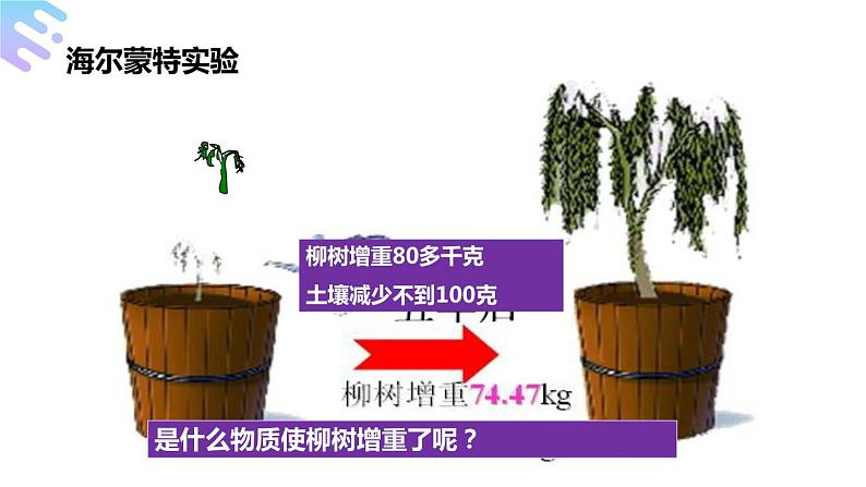 人教版生物七年级上册第九单元 绿色植物与生物圈中碳-氧平衡 9.1 光合作用吸收二氧化碳释放氧气  教学PPT课件第4页