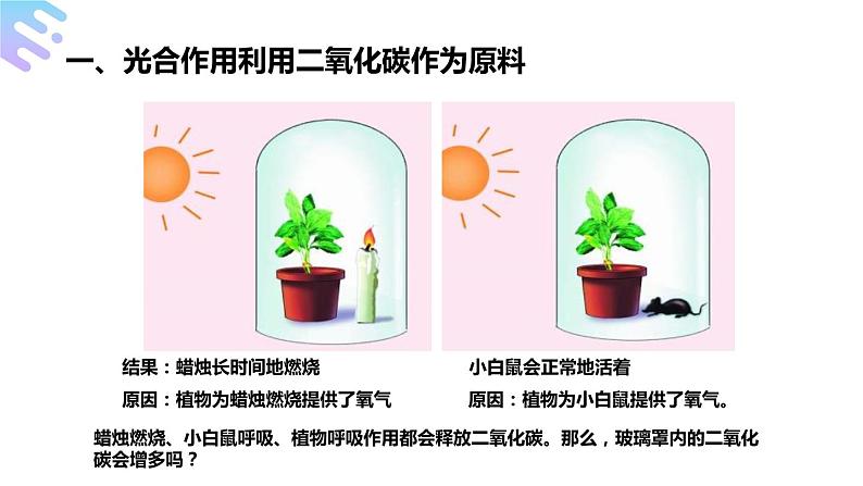 人教版生物七年级上册第九单元 绿色植物与生物圈中碳-氧平衡 9.1 光合作用吸收二氧化碳释放氧气  教学PPT课件第7页