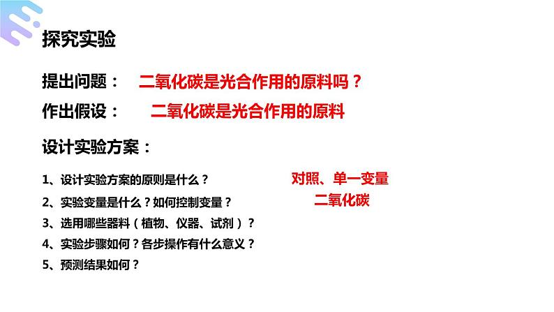 人教版生物七年级上册第九单元 绿色植物与生物圈中碳-氧平衡 9.1 光合作用吸收二氧化碳释放氧气  教学PPT课件第8页