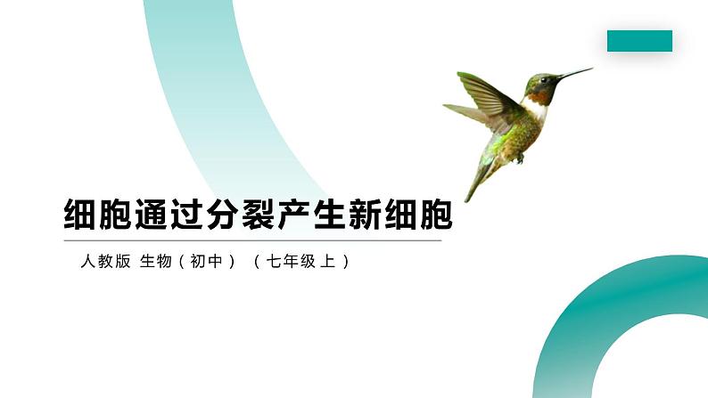 人教版生物七年级上册第四单元  细胞怎样构成生物 4.1 细胞通过分裂产生新细胞  教学PPT课件第1页