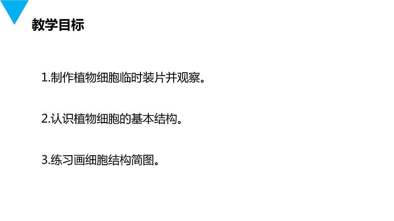 人教版生物七年级上册第三单元  细胞是生命活动的基本单位 3.2 植物细胞  教学PPT课件第2页