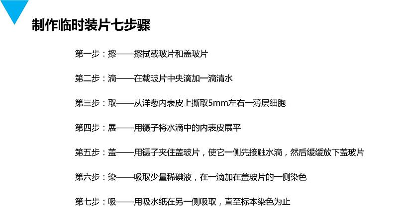 人教版生物七年级上册第三单元  细胞是生命活动的基本单位 3.2 植物细胞  教学PPT课件第6页