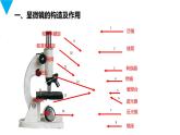 人教版生物七年级上册第三单元  细胞是生命活动的基本单位 3.1 练习使用显微镜  教学PPT课件